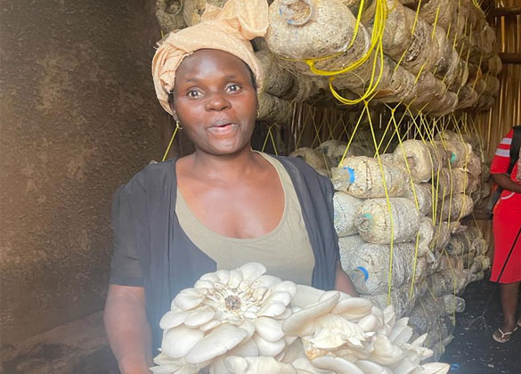 Community Mushroom Cultivation Project