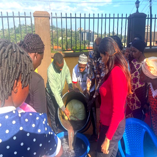 Hands-on Mushroom Farming Training